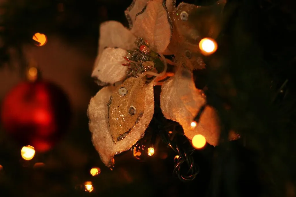 Palazzo Il Cavaliere B&B De Charme Modica Bed & Breakfast