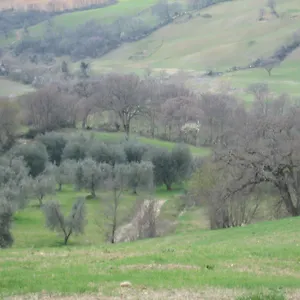 https://agriturismo-casa-fibbianello.it-tuscanyhotel.com